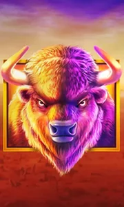 Buffalo King